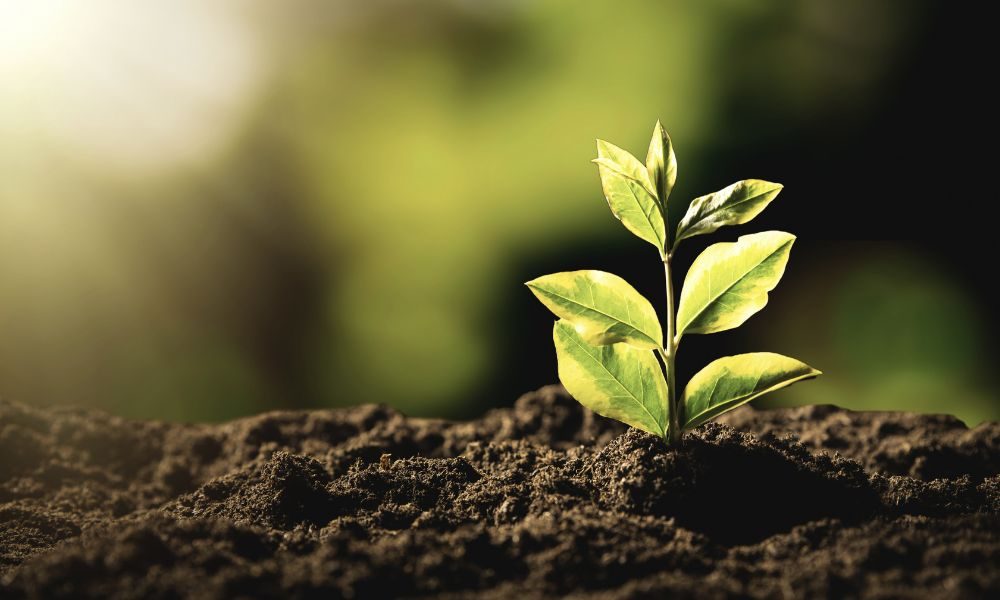 VALETTA Nachhaltigkeit