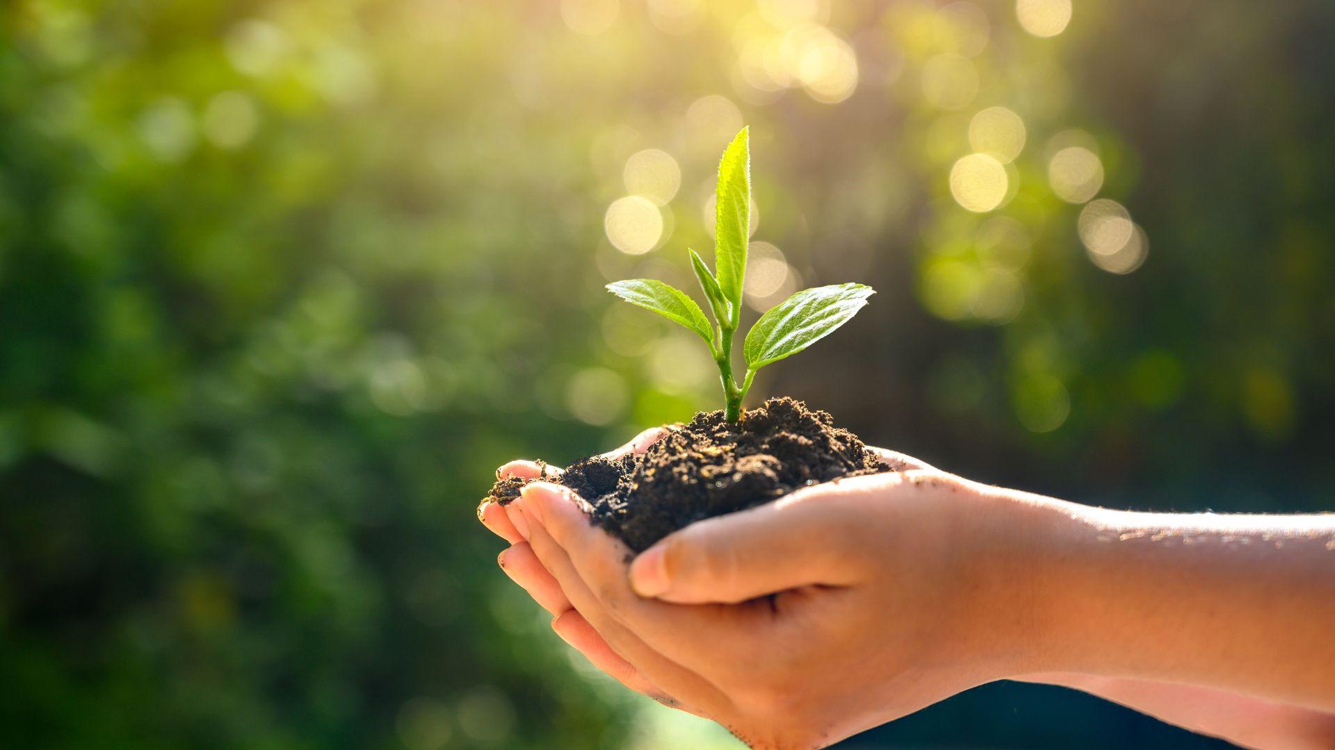 VALETTA EPD Zertifikate